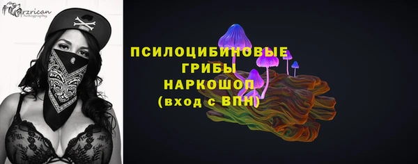 jwh Дубна