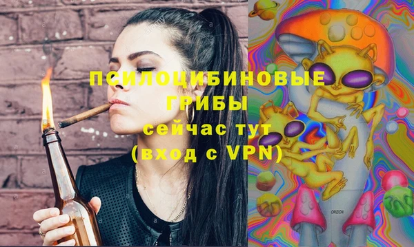 гашик Приозерск