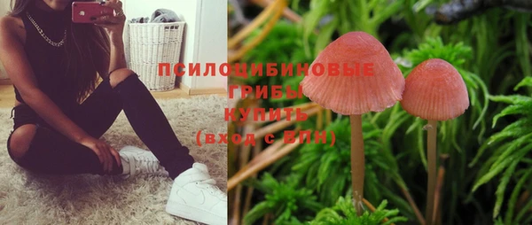 гашик Приозерск