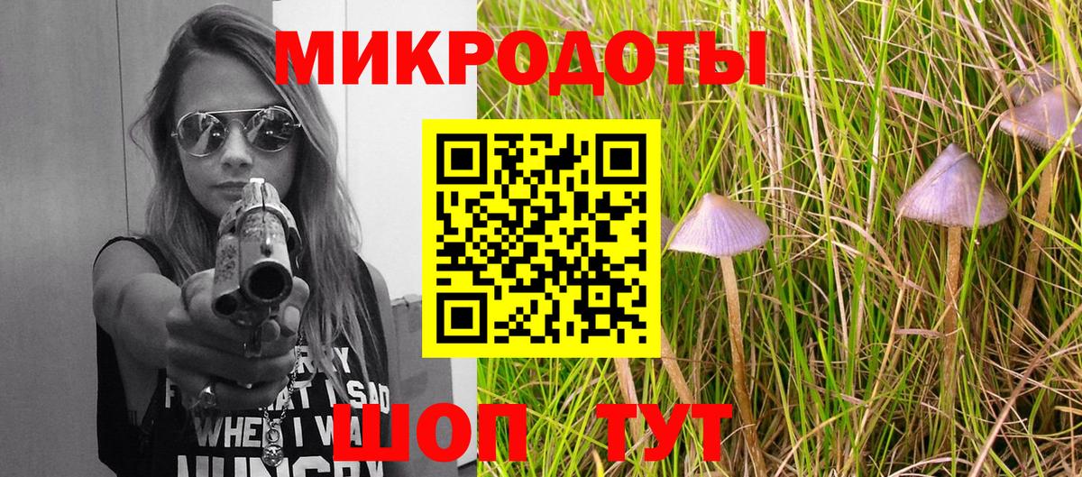 Тында  Псилоцибиновые грибы прущие грибы  Вход с VPN 